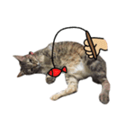 Mimier's Daily（個別スタンプ：20）