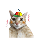 Mimier's Daily（個別スタンプ：24）