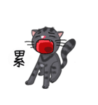 Your friendly rogue meow（個別スタンプ：5）