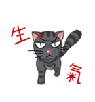 Your friendly rogue meow（個別スタンプ：12）