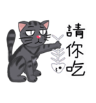 Your friendly rogue meow（個別スタンプ：13）