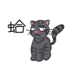 Your friendly rogue meow（個別スタンプ：16）