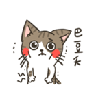 LuMi（個別スタンプ：9）
