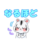 白虎ちゃんスタンプ（個別スタンプ：4）