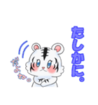 白虎ちゃんスタンプ（個別スタンプ：8）