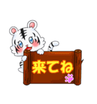 白虎ちゃんスタンプ（個別スタンプ：20）