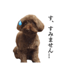 癒し犬と小鳥（個別スタンプ：10）