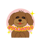 トイプーときどきシュナ（個別スタンプ：6）