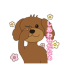 トイプーときどきシュナ（個別スタンプ：8）