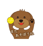 トイプーときどきシュナ（個別スタンプ：23）