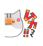 猫便り11 〜怒ってる人が使うスタンプ3〜（個別スタンプ：1）