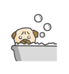 Da Da dog daily（個別スタンプ：16）