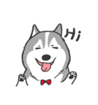 神犬ハァちゃん（個別スタンプ：1）