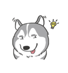 神犬ハァちゃん（個別スタンプ：5）