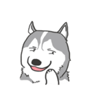 神犬ハァちゃん（個別スタンプ：7）