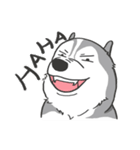 神犬ハァちゃん（個別スタンプ：8）