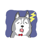 神犬ハァちゃん（個別スタンプ：13）
