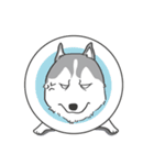 神犬ハァちゃん（個別スタンプ：15）