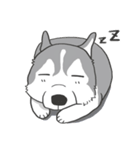 神犬ハァちゃん（個別スタンプ：16）