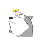 神犬ハァちゃん（個別スタンプ：18）