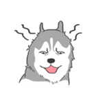 神犬ハァちゃん（個別スタンプ：19）