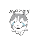 神犬ハァちゃん（個別スタンプ：22）