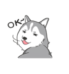 神犬ハァちゃん（個別スタンプ：23）
