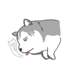 神犬ハァちゃん（個別スタンプ：25）