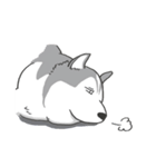 神犬ハァちゃん（個別スタンプ：26）