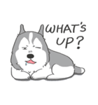 神犬ハァちゃん（個別スタンプ：30）