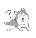 神犬ハァちゃん（個別スタンプ：31）