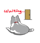 神犬ハァちゃん（個別スタンプ：33）