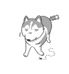 神犬ハァちゃん（個別スタンプ：35）
