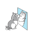 神犬ハァちゃん（個別スタンプ：37）