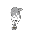 神犬ハァちゃん（個別スタンプ：38）