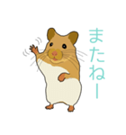 ハムスターちゃん（個別スタンプ：2）