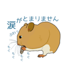 ハムスターちゃん（個別スタンプ：4）