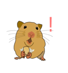 ハムスターちゃん（個別スタンプ：7）