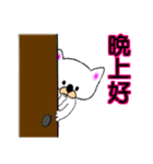 台湾語（中国語）すたんぷ 白猫ちゃん（個別スタンプ：7）