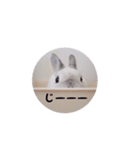 とろ日和（個別スタンプ：4）