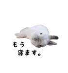 とろ日和（個別スタンプ：9）