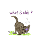 Cat_Story（個別スタンプ：2）