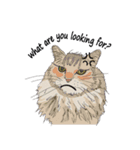 Cat_Story（個別スタンプ：5）