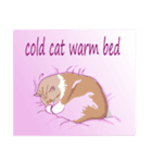 Cat_Story（個別スタンプ：6）