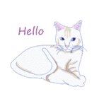 Cat_Story（個別スタンプ：7）