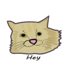 Cat_Story（個別スタンプ：11）