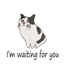 Cat_Story（個別スタンプ：12）