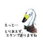 困り顔の動物たち（個別スタンプ：27）