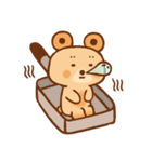 circle doughnut bear（個別スタンプ：1）