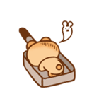 circle doughnut bear（個別スタンプ：2）